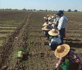 ၀မ်းတွင်းမြို့နယ် ဖလန်ကန်ကျးရွာတွင် အသင်းသားမှ ချေးငွေဖြင့်လုပ်ငန်းဆောင်ရွက်ထားရှိမှု